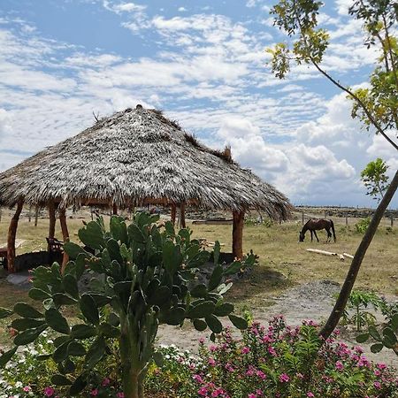 Pachingo Tatacoa Desert La Victoria  Екстериор снимка