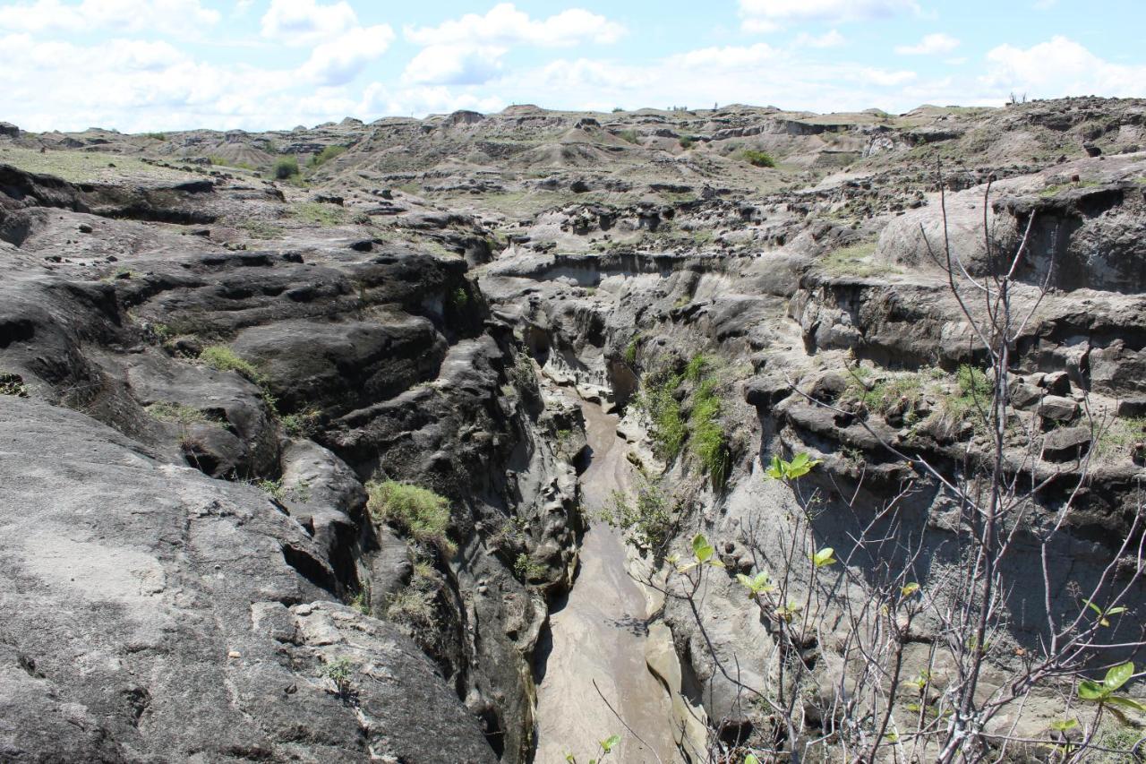 Pachingo Tatacoa Desert La Victoria  Екстериор снимка
